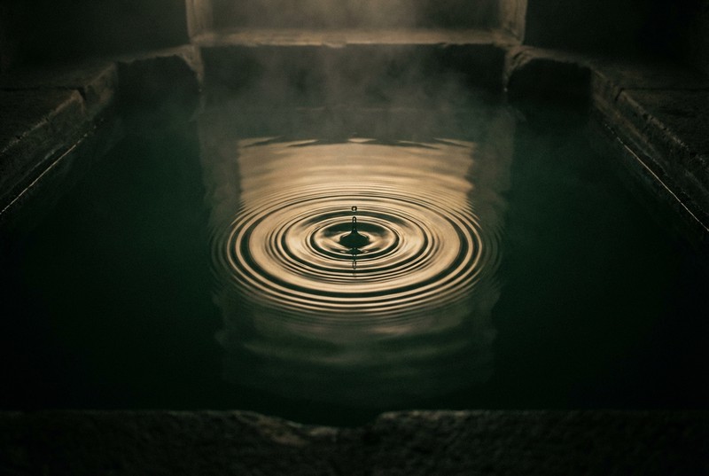 Traume și Pierderi Familiale